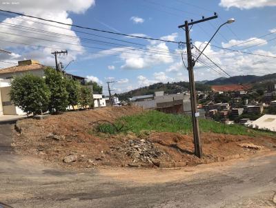 Terreno Urbano para Venda, em Muriaé, bairro Quinta das Flores
